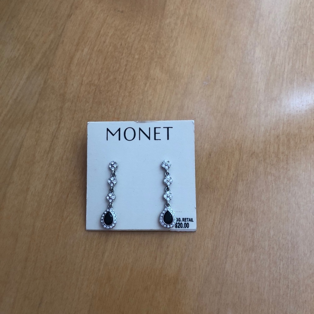 Money earrings